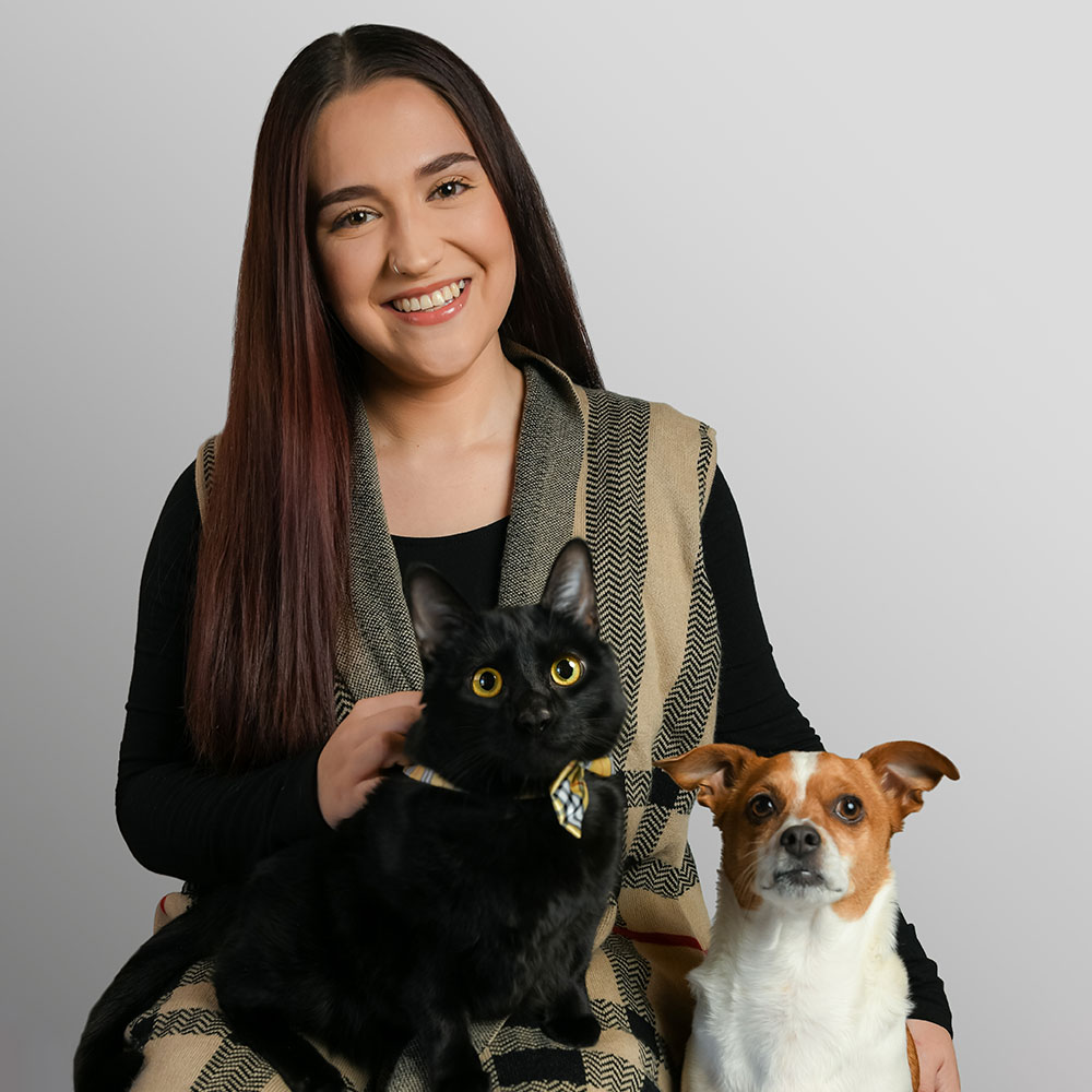 Capturing Memories: What to Expect in Your First Pet Photography Session