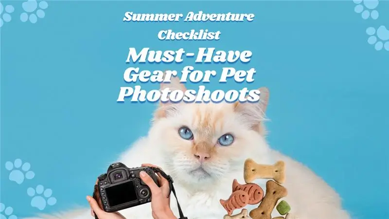 Summer Adventure Checklist: Must-Have Gear for Pet Photoshoots