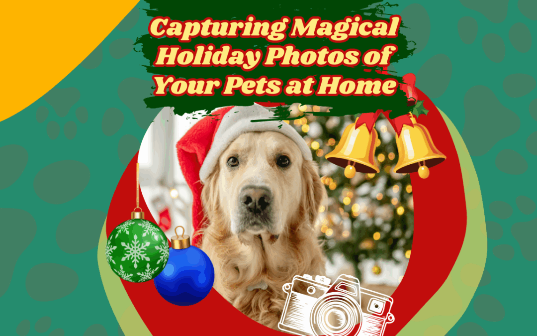 Capturing Magical Holiday Photos of Your Pets at Home